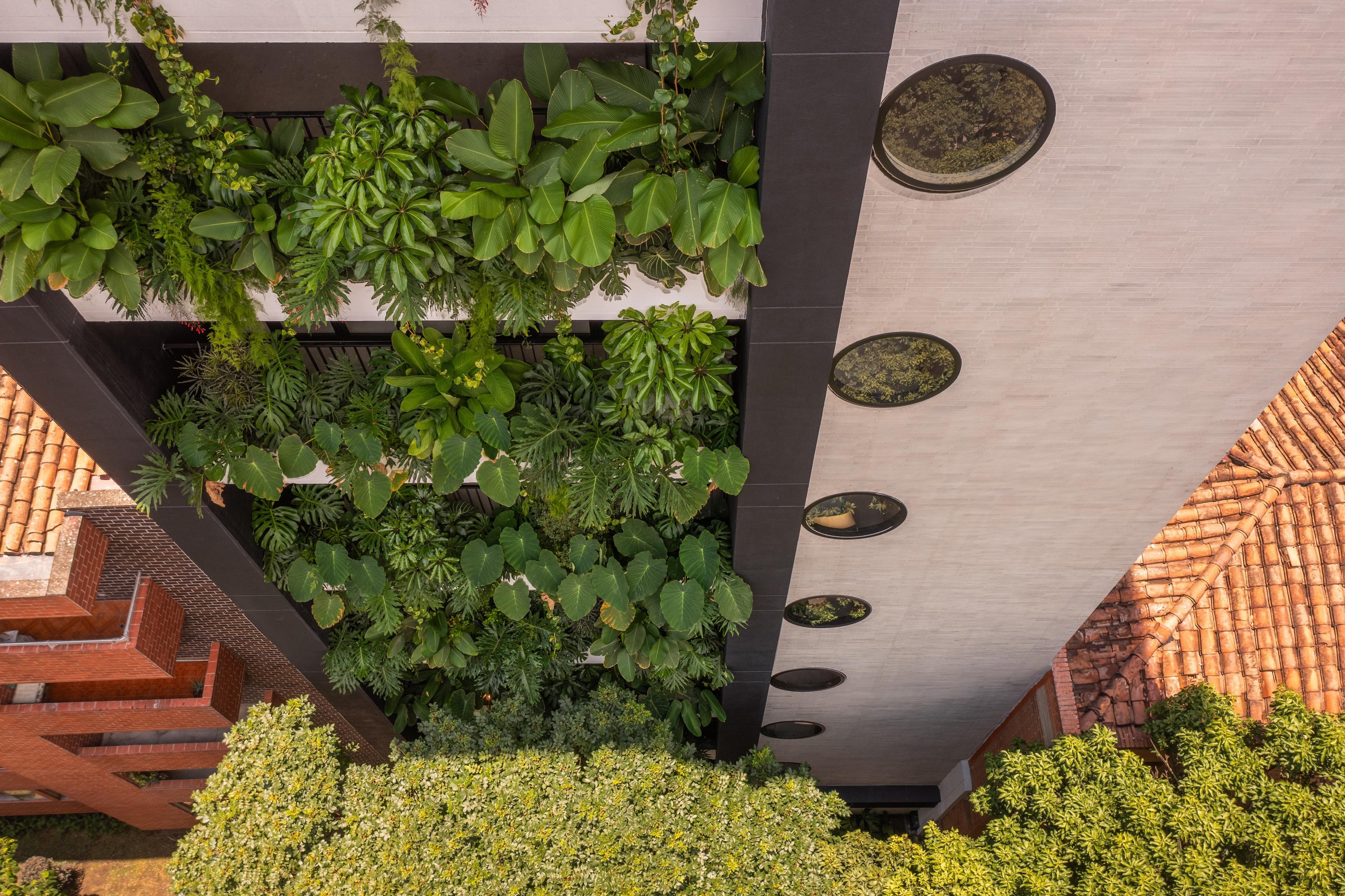 Edificio Laurel - 13